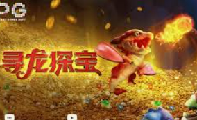 星空全站最新版